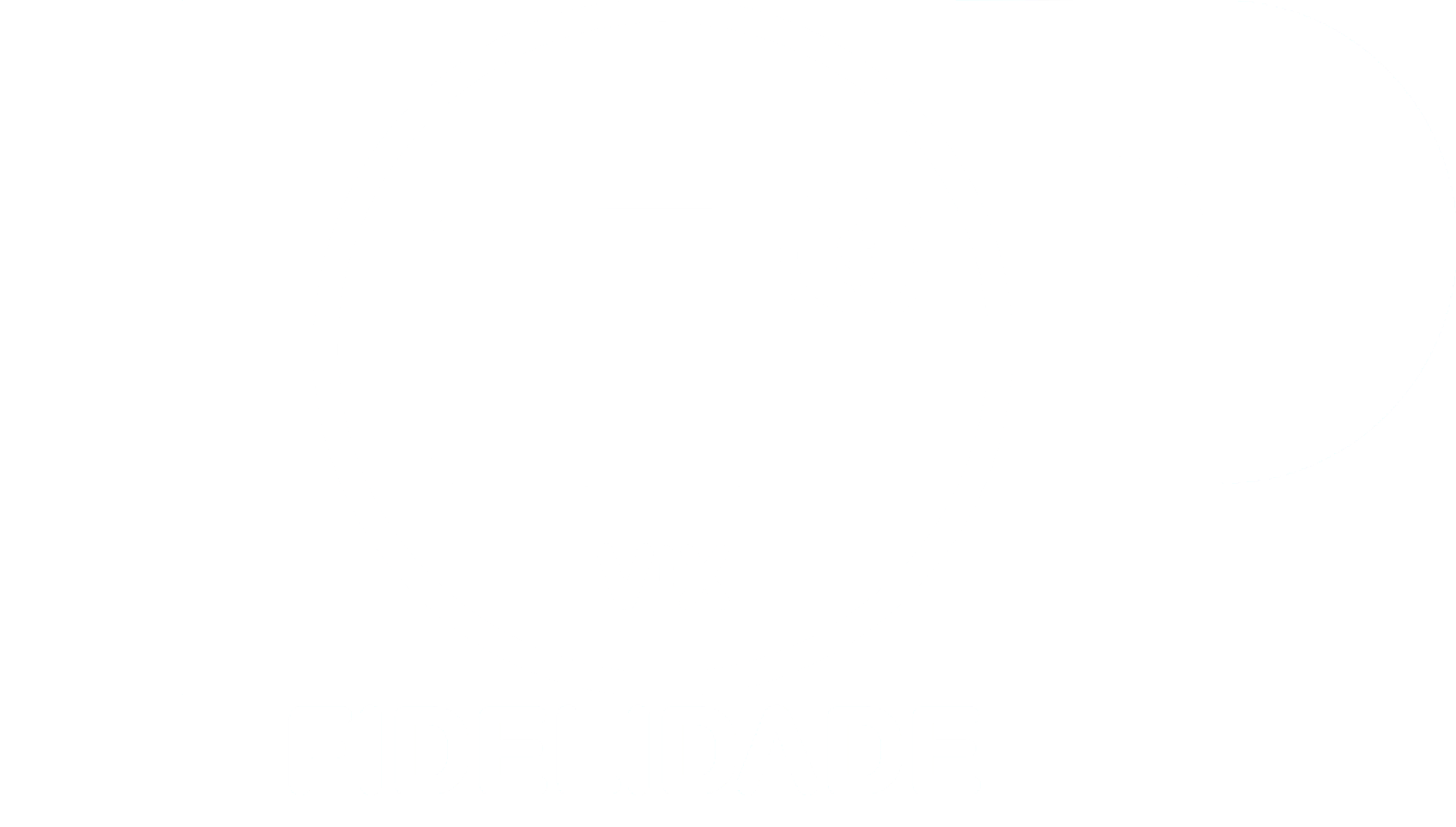 Logo TOP Vix